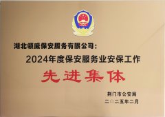 喜報！領(lǐng)威保安榮獲“2024年度保安服務(wù)業(yè)安保工